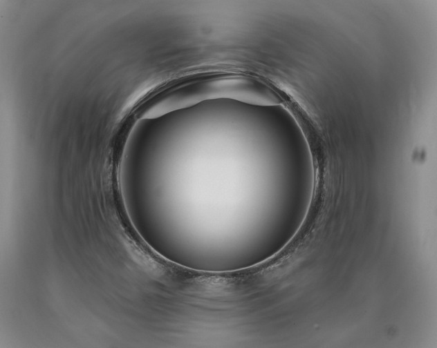 X0000090871450200707271240