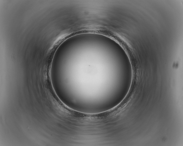 X0000090871451200707271240