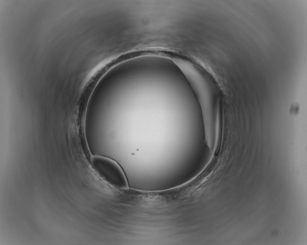 X0000090871452200707271240