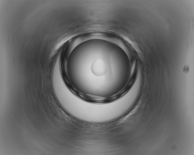 X0000090871453200707271240