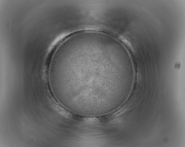 X0000090871454200707271240