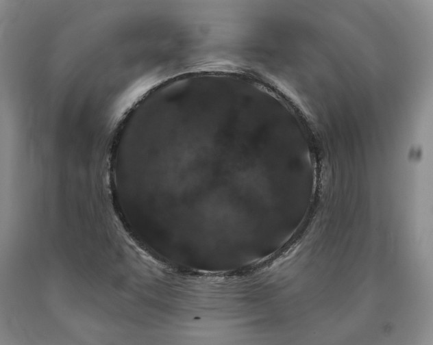 X0000090871455200707271240