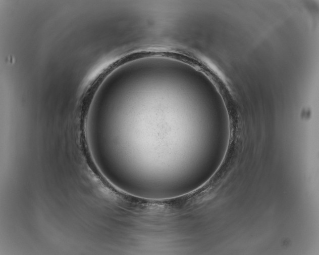 X0000090871456200707271240