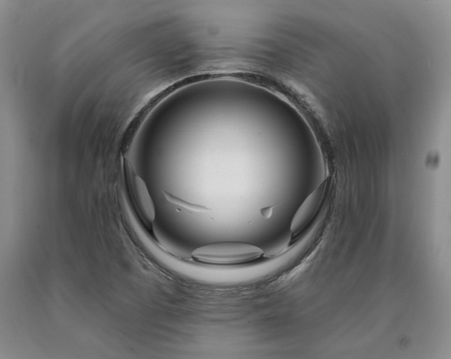 X0000090871457200707271240