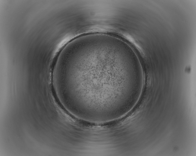 X0000090871459200707271240