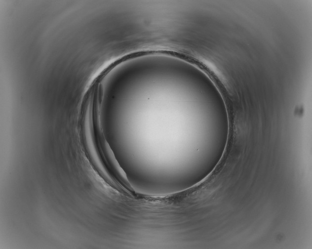 X0000090871460200707271240