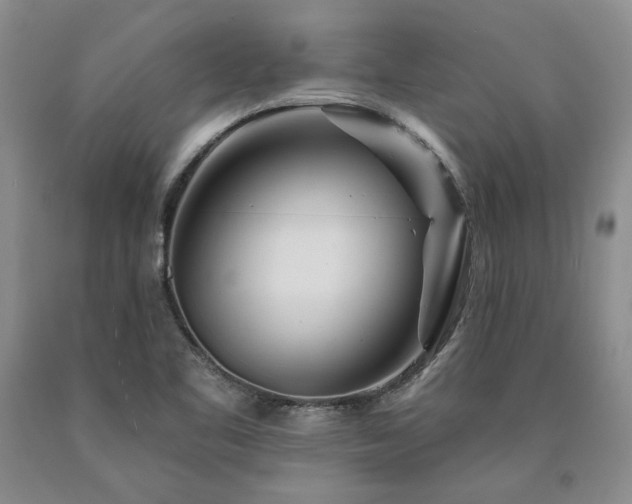 X0000090871461200707271240