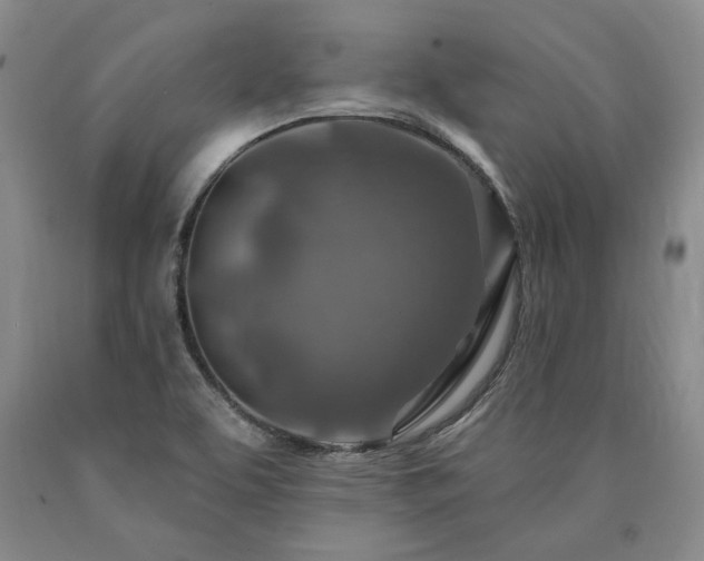 X0000090871463200707271240