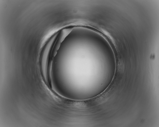 X0000090871464200707271240