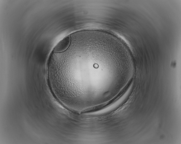 X0000090871467200707271239