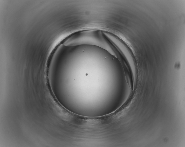 X0000090871469200707271239