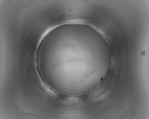 X0000090871470200707271239