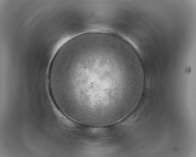 X0000090871471200707271239
