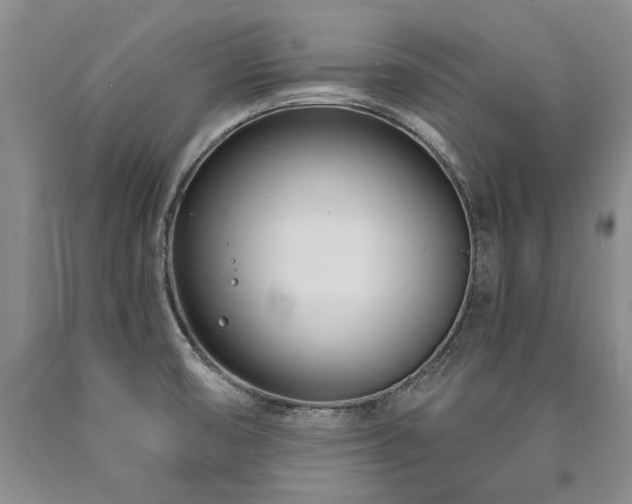 X0000090871474200707271239