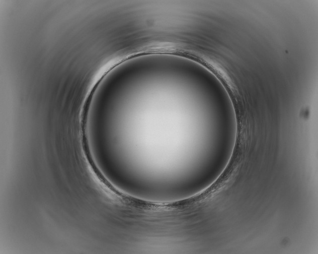 X0000090871475200707271239