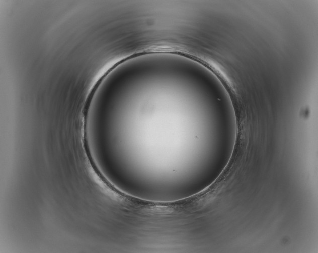 X0000090871476200707271239