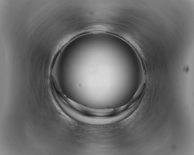 X0000090871477200707271239