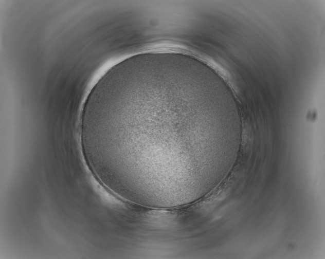 X0000090871478200707271239