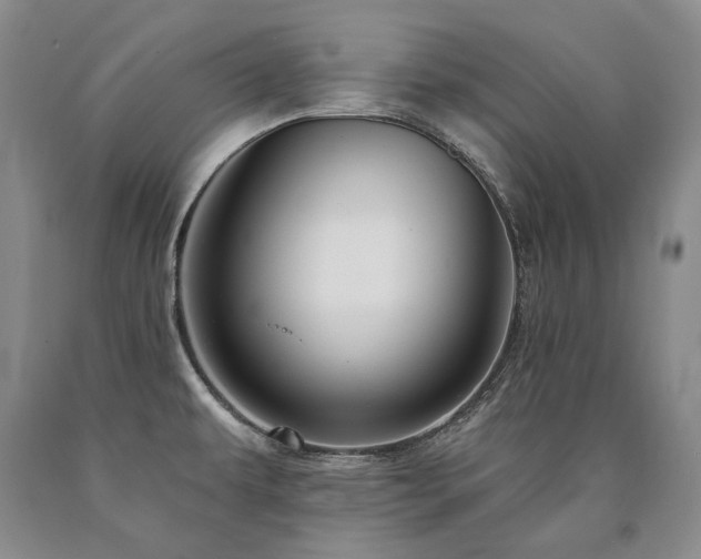 X0000090871479200707271239