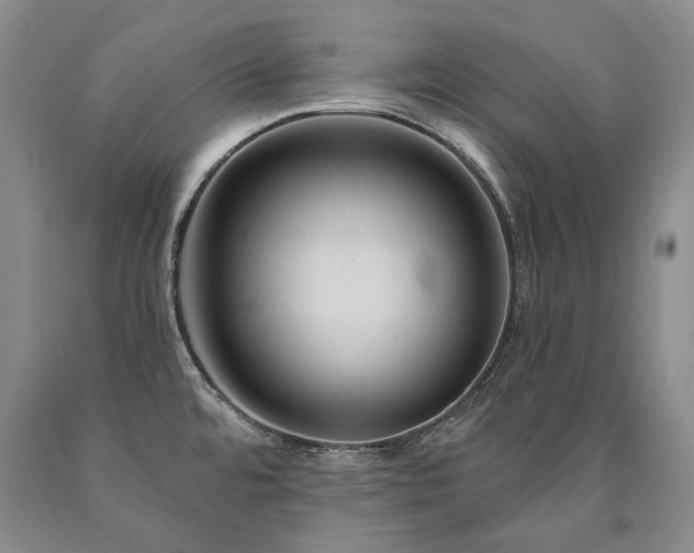X0000090871480200707271239