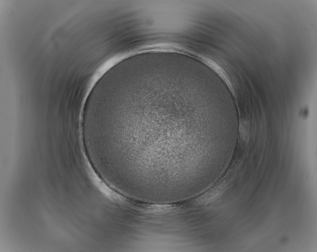 X0000090871482200707271239