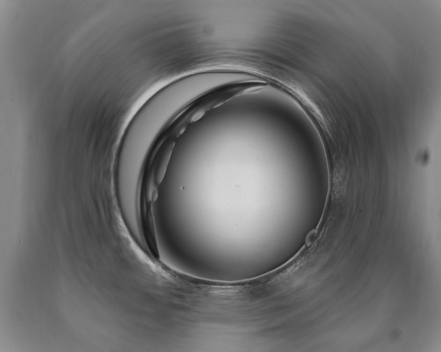 X0000090871484200707271239