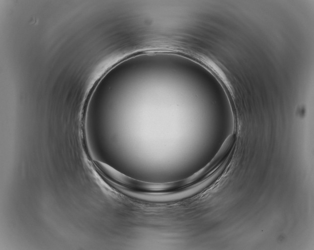 X0000090871485200707271239