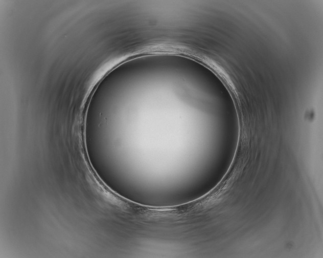 X0000090871486200707271239