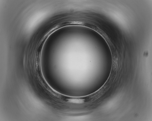 X0000090871487200707271239