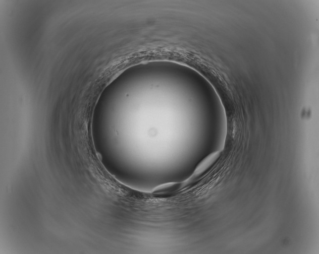 X0000090871489200707271239