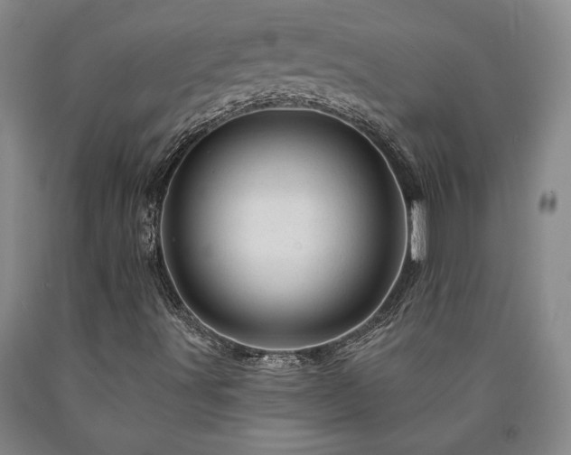 X0000090871491200707271239