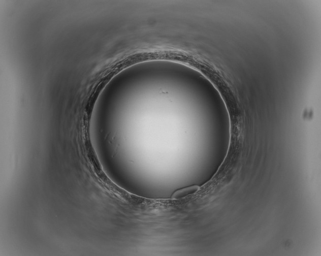 X0000090871493200707271239