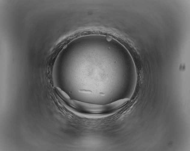 X0000090871494200707271239