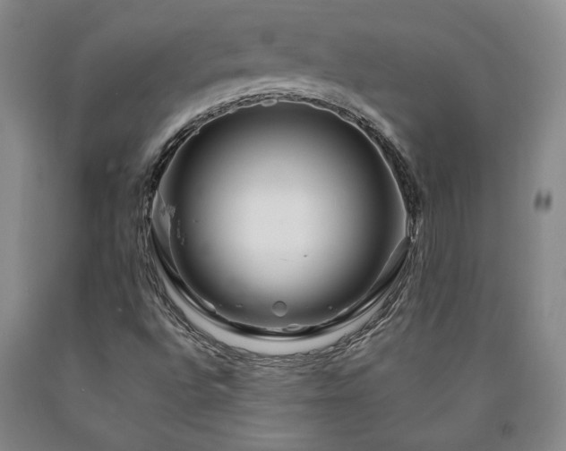 X0000090871496200707271239