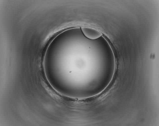X0000090871499200707271239
