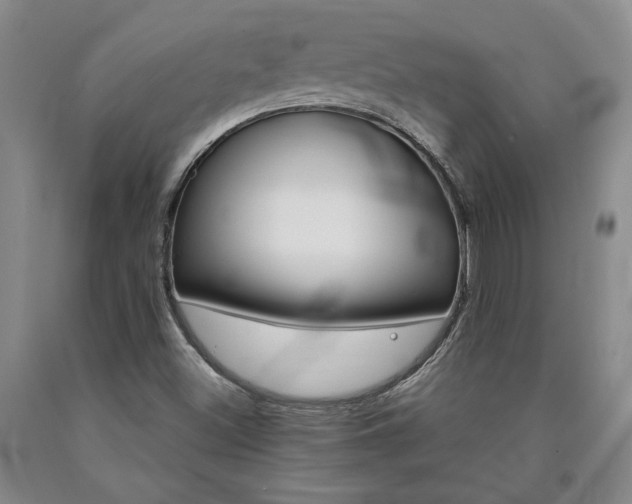 X0000090871500200707271239
