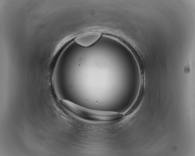 X0000090871501200707271239