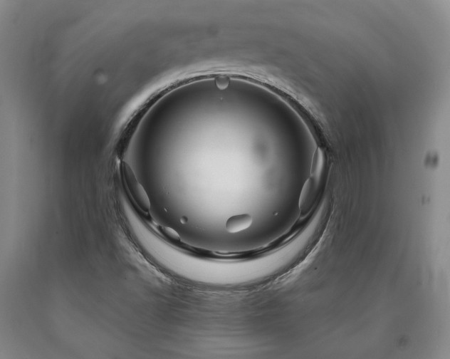 X0000090871502200707271239