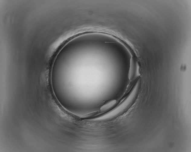X0000090871503200707271239