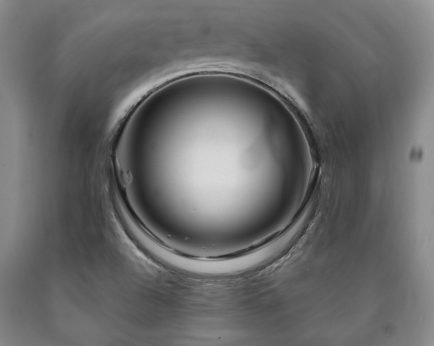 X0000090871504200707271239