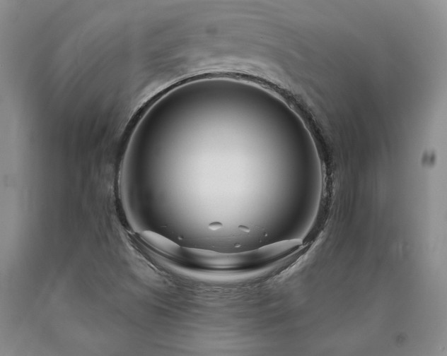 X0000090871505200707271239