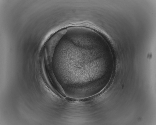 X0000090871506200707271239