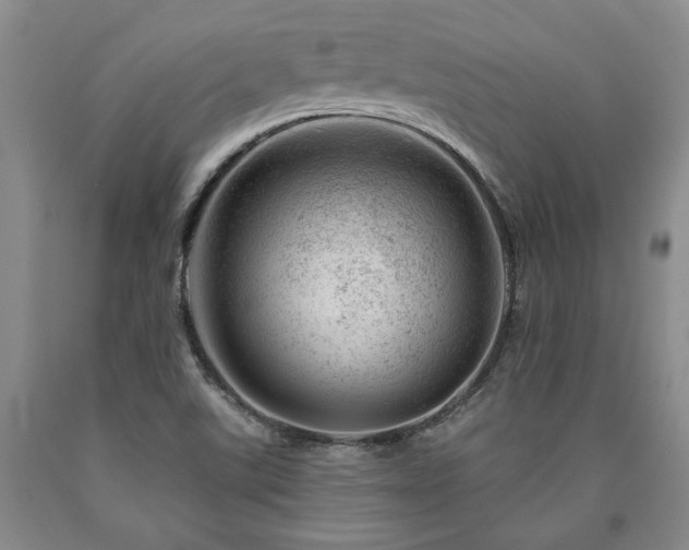 X0000090871507200707271239