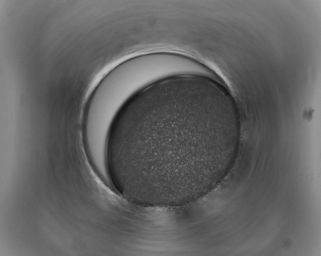 X0000090871508200707271239