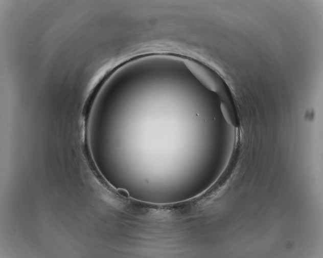 X0000090871509200707271239