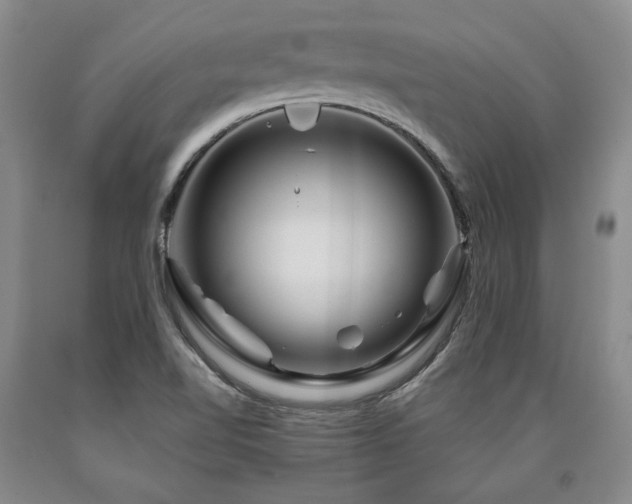 X0000090871510200707271239