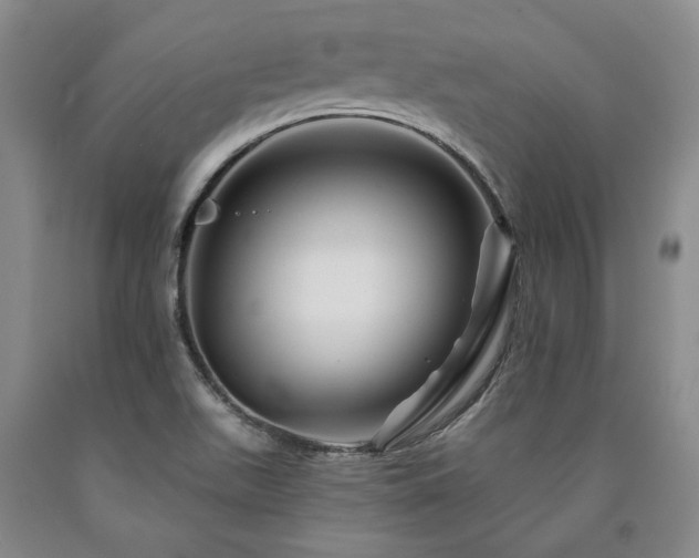 X0000090871511200707271239