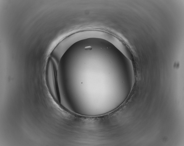 X0000090871512200707271239
