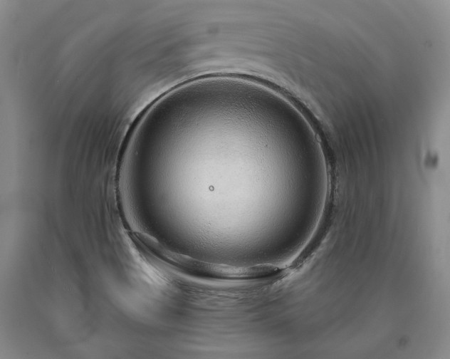 X0000090871513200707271239