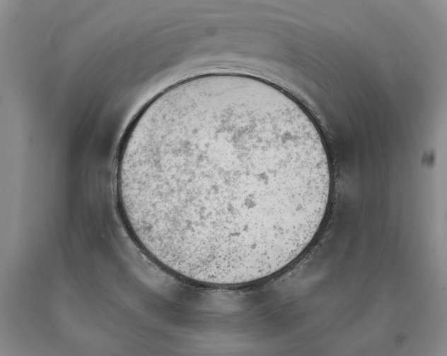 X0000090871514200707271239